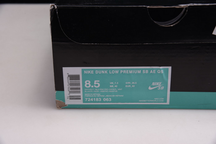 nike dunk sb low premier "N0*Hern lights" - 724183-063